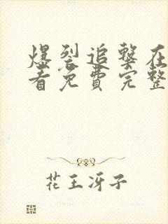 爆裂追击在线观看免费完整版高清