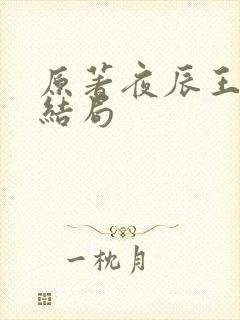 原著夜辰王最后结局