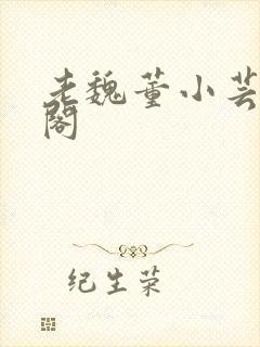 老魏董小芸笔趣阁