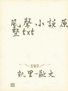 风声小说原著完整txt