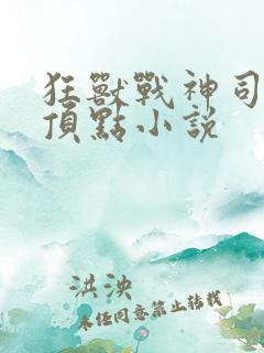 狂兽战神司空靖顶点小说