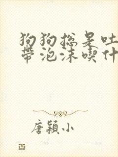 狗狗总是吐黄水带泡沫吃什么药