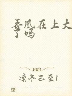 吾凰在上大结局了吗