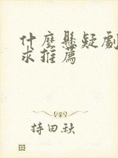 什么悬疑剧好看求推荐