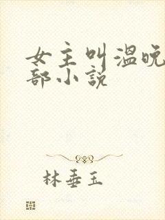 女主叫温晚的全部小说