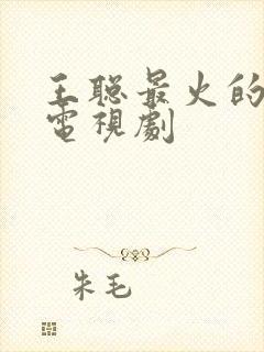 王聪最火的十部电视剧