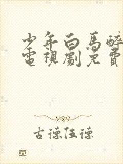 少年白马醉春风电视剧免费看