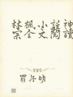 林枫小说神霄剑宗全文阅读