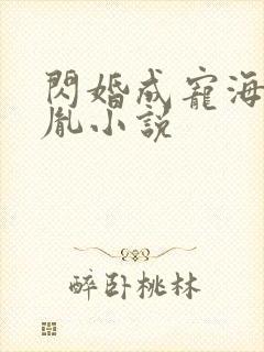 闪婚成宠海彤战胤小说