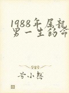 1988年属龙男一生的命运