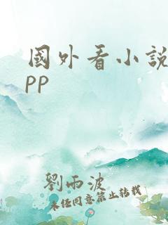 国外看小说的app