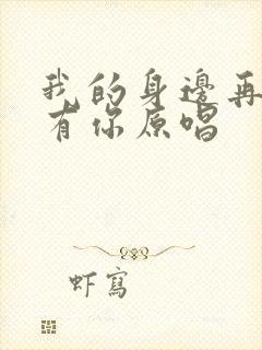 我的身边再也没有你原唱