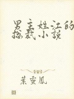 男主姓江的现代总裁小说