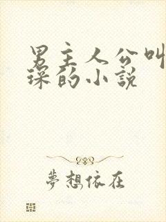 男主人公叫穆霆琛的小说