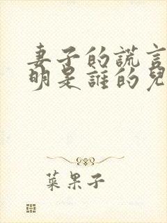 妻子的谎言江一明是谁的儿子