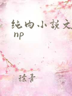 纯肉小说文高h np
