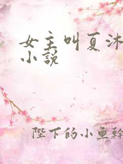 女主叫夏沐晴的小说