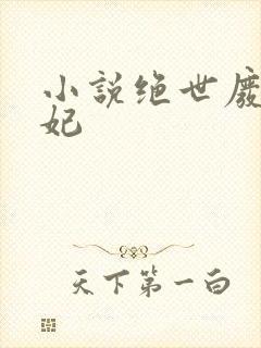 小说绝世废柴狂妃