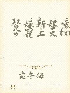 替嫁新娘亿万老公宠上天txt下载