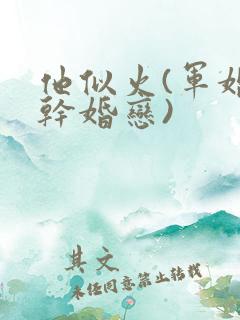 他似火(军婚高干婚恋)