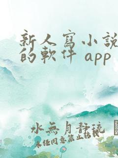 新人写小说赚钱的软件 app