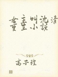 女主叫沈清宁的重生小说