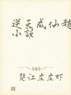 逆天成仙赵飞扬小说