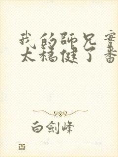 我的师兄实在是太稳健了番外