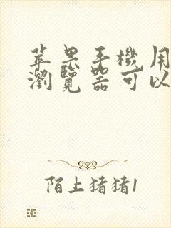 苹果手机用什么浏览器可以打开禁网