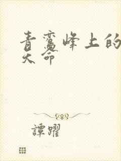 青鸾峰上的无敌天命