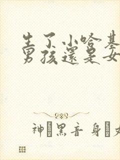 生了小哈基米是男孩还是女孩