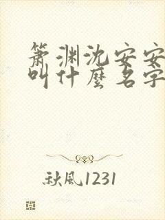 箫渊沈安安小说叫什么名字