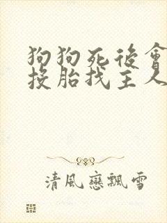 狗狗死后会转世投胎找主人吗