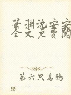 萧渊沈安安小说全文免费阅读