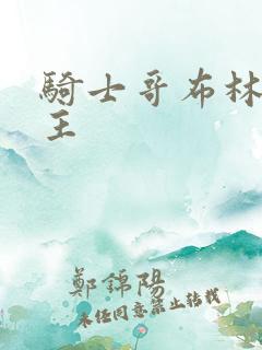 骑士哥布林双男主