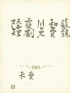 陆霆川和苏向晚短剧免费观看