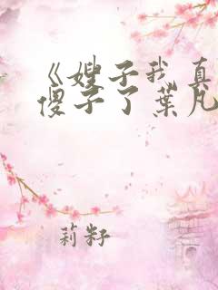 《嫂子我真不是傻子了叶凡》