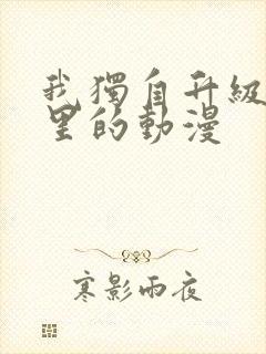 我独自升级是哪里的动漫