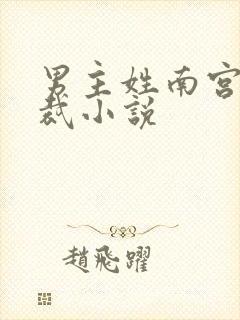 男主姓南宫的总裁小说