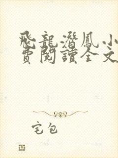 飞龙潜凤小说免费阅读全文最新章节