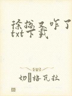 徐总又咋了全文txt下载