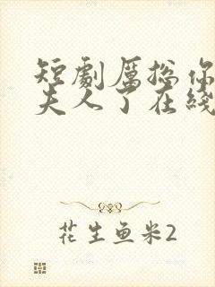 短剧厉总你找错夫人了在线观看