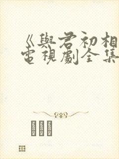 《与君初相识》电视剧全集免费观看