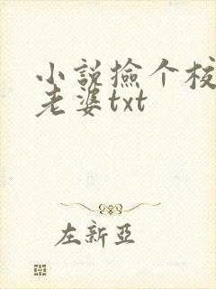 小说捡个校花做老婆txt