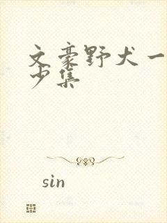 文豪野犬一季多少集