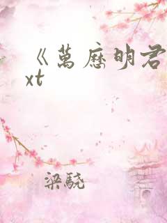 《万历明君》txt