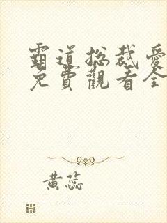 霸道总裁爱上我免费观看全集电视剧