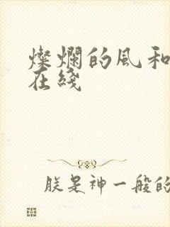 灿烂的风和海 在线