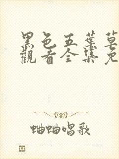 黑色五叶草在线观看全集免费播放