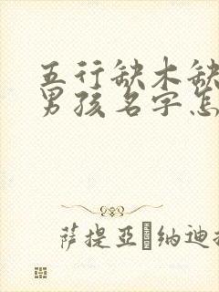 五行缺木缺金的男孩名字怎么取